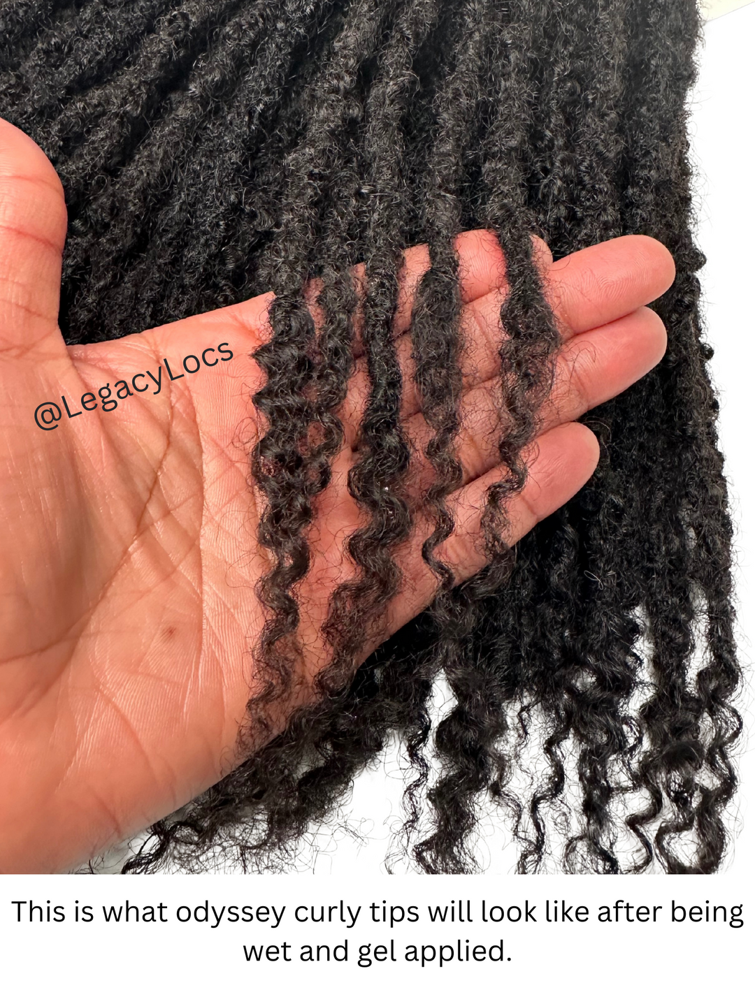 Odyssey Loc Extensions Large Width (CUSTOM PRE-ORDER /SHIPS IN 2-6 WEEKS)